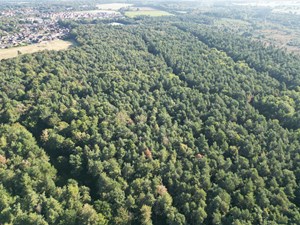Grant funding secured to bring eco-learning space to Holt Country Park