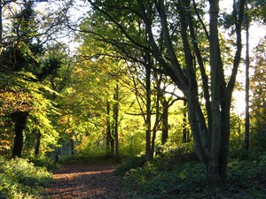 Easter Family-friendly fun in Country Parks