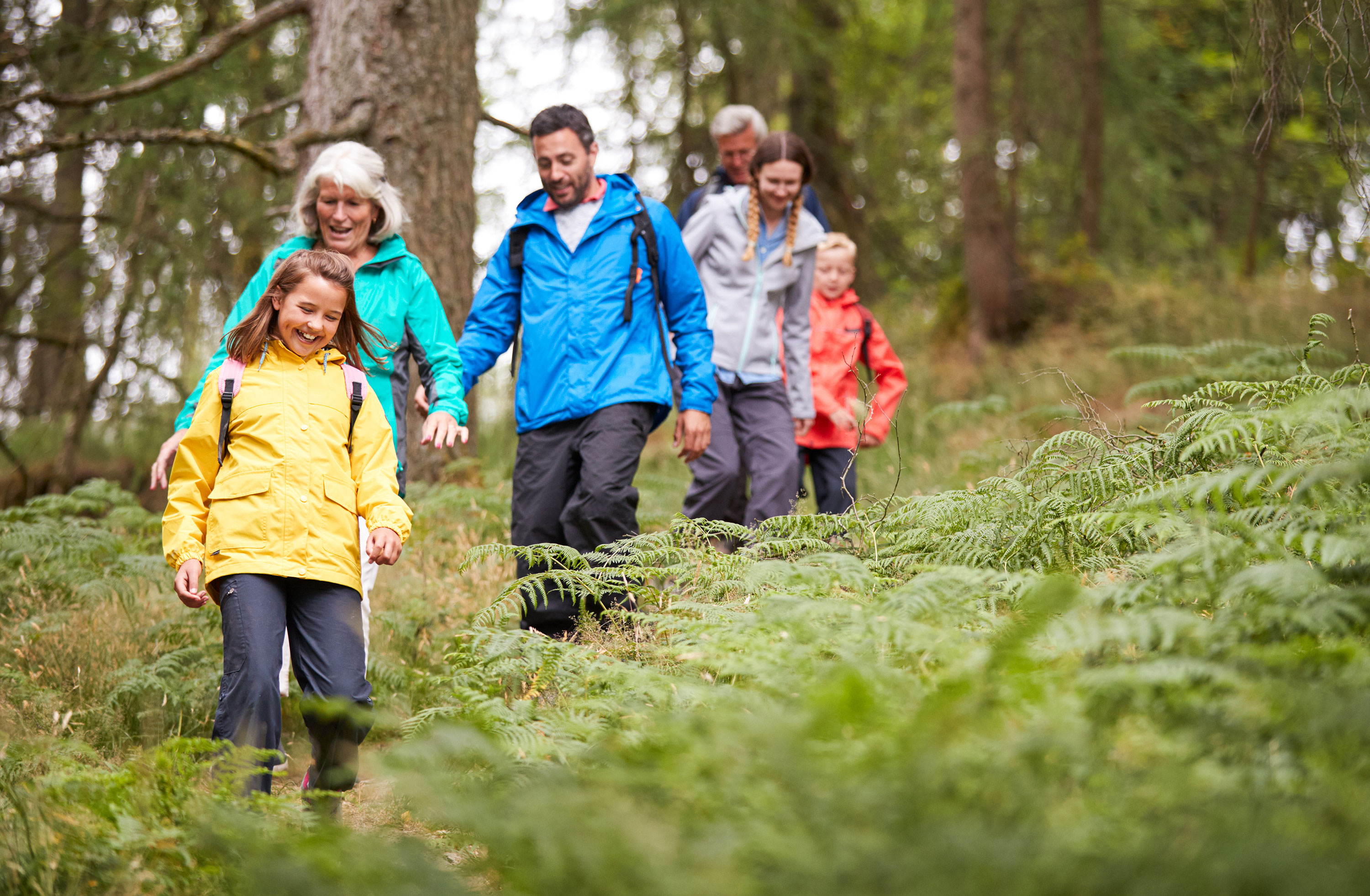 people hiking in the woods