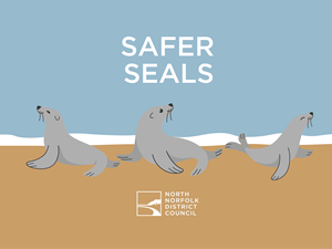 Council votes to better support seal safety in North Norfolk
